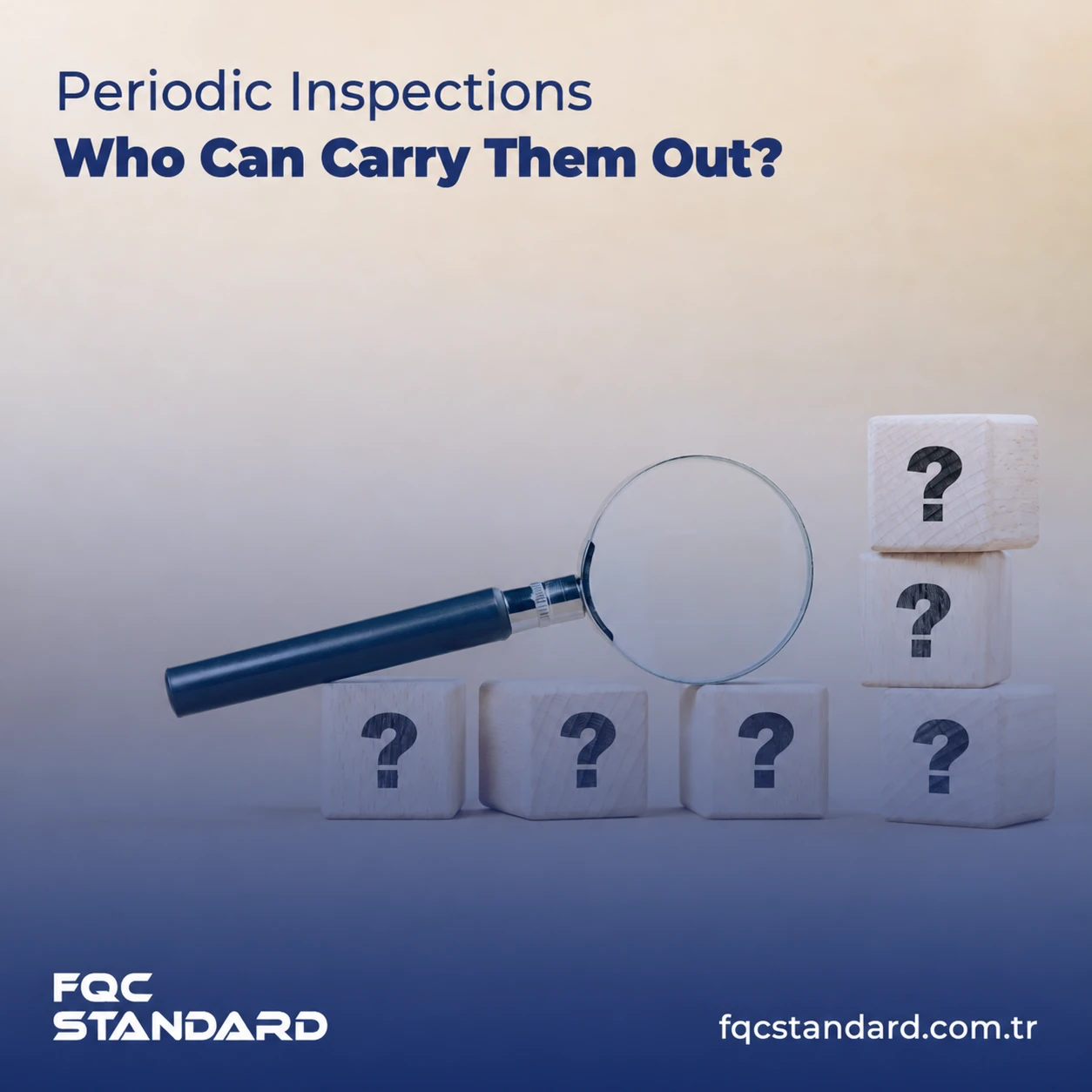 Who Can Carry Out Periodic Inspections?